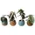 meinvipshop Pflanzenset Alocasia gemischt 4er Set mit Übertopf