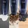 Cecotec Conga Rockstar 25,2V Animal Hand dunkelblau