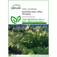 SAFLAX - Gräser-Bambus-Kamelhaar-Gras/Silber-Ährengras - 50 Samen - Stipa calamagrostis