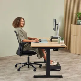 Fellowes Breyta Plus Ergonomische Maus schwarz