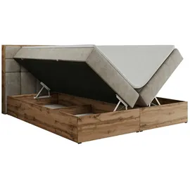 MKS Albero 1 200 x 200 cm H3 Beige