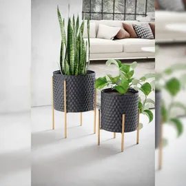 KADIMA DESIGN Ø 2 x 2 cm Schwarz / Gold