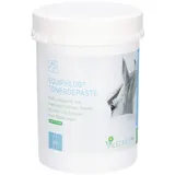 Valetumed EQUIPHLOG Tonerdepaste für Pferde