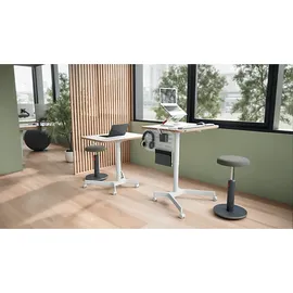 Leitz Ergo Active Sitzball Dunkelgrau 65 cm