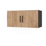 Vicco Ingo Aktenschrank 80 x 40 x 40 cm Anthrazit/Goldkraft Eiche