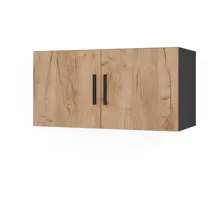 Vicco Ingo Aktenschrank 80 x 40 x 40 cm Anthrazit/Goldkraft Eiche