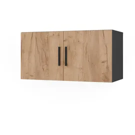 Vicco Ingo Aktenschrank 80 x 40 x 40 cm Anthrazit/Goldkraft Eiche