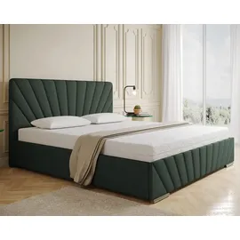 panda möbel Polsterbett RAY - Komfortbett mit Stauraum, Doppelbett, Dunkelgrün, 180x200cm, Taschenfederkernmatratze, H3 - dunkelgrün