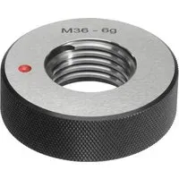 Fortis Aussch.-Gew.-Lehrring M6 6g
