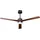Beliani JEREMY 126 cm Deckenventilator Braun