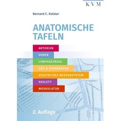 Anatomische Tafeln