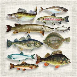 20 Servietten Papier 33x33cm 3-lagig - hochwertige Einweg Papierservietten mit Fischmotiv - maritim Tischdeko für Anglerfeste Grillparty Fischessen