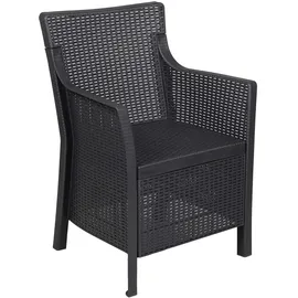 vidaXL Gartenstuhl Sessel 1 x 1 x 1 cm anthrazit