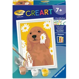 Ravensburger Malen nach Zahlen Cocker Spaniel Sunny 1 St.