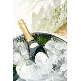 Edzard Cadiz Champagnerkühler (8962)