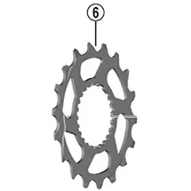 Shimano Ritzel CS-M8100 Modell 2024