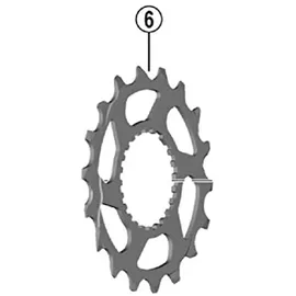 Shimano Ritzel CS-M8100 Modell 2024