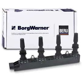 BorgWarner (Beru) Zündspule