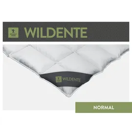 SPESSARTTRAUM Daunendecke Wildente normal 100% Daunen 155x200 cm