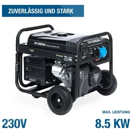 Hyundai HY8500LEK schwarz