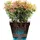 elho Loft Urban 37 Ø 37,0 x 51,3 cm Anthrazit