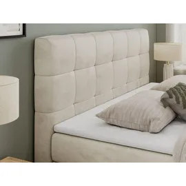 MKS Meble Boxspringbett mit Bettkasten ¦ beige ¦ Maße (cm): B: 140 H: 110