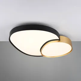 Trio Lighting Rise 1 dimmbar schwarz Metall