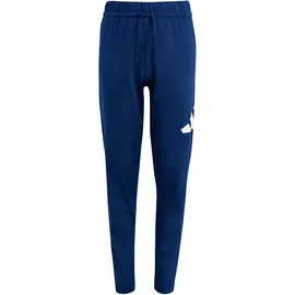 adidas Essentials Climacool Kinder Sportanzug Kids, ROYBLU/BLACK, 152