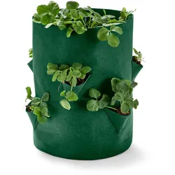 Tchibo - Erdbeeren-Pflanztasche - grün