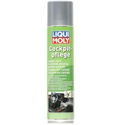 LIQUI MOLY Kunststoffpflegemittel 1598