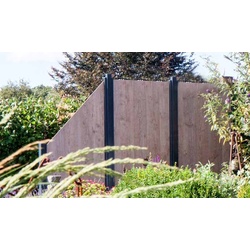 HPL Sichtschutzzaun Skive - Esche grau  - aus HPL (High Pressure Laminate)