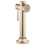 Dornbracht VAIA Spülbrausegarnitur - Champagne gebürstet (22kt Gold)