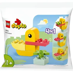 Meine erste Ente