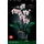 LEGO Botanicals Orchidee 10311