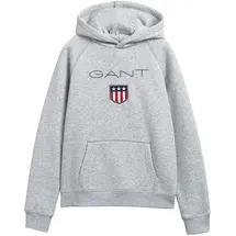 GANT Hoodie Grey 134
