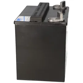 Sonnenschein / Exide Akku kompatibel E-Mobile Rascal 302LE/309LE/329LE 12V
