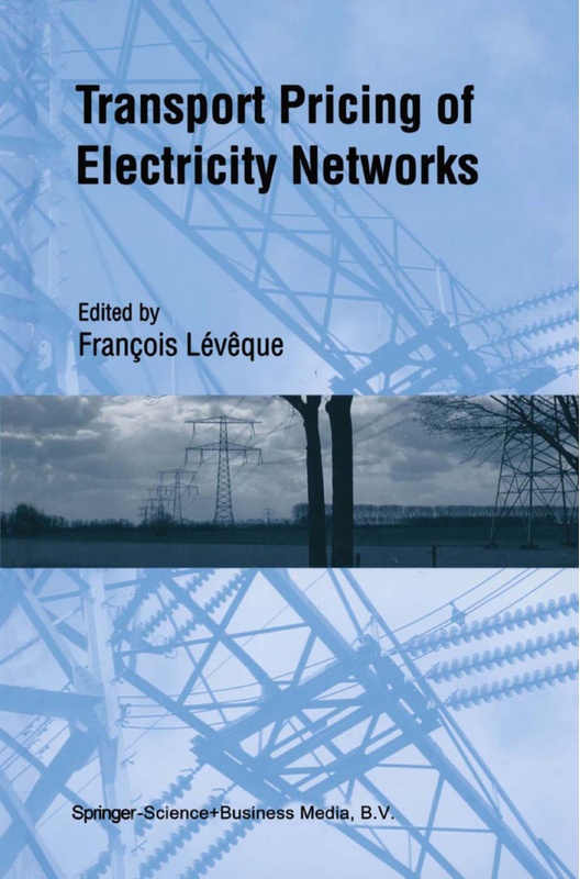 Transport Pricing Of Electricity Networks, Kartoniert (TB)