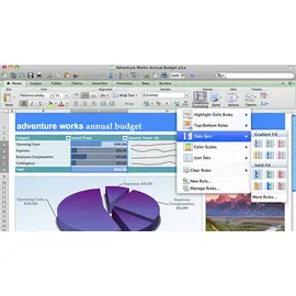 Microsoft Office Home and Student 2011 DE Mac