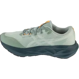 Asics Novablast 5 TR Herren Nature Bathing/Lichen Rock 47