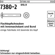 Hörger & Geßler Flachkopf-Flanschschraube ISO 7380-2 M6 x 10 500 Stück