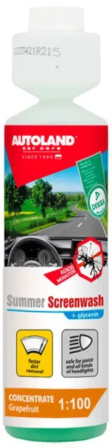 Sommerkonzentrat zur Glasreinigung 1:100, 250 ml