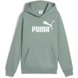 Puma Jungen No. 1 Logo Hoodie FL B Kapuzenpullis, Green Moon, 128 EU