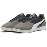 Puma King Top It Soccer Shoe, Shadow Gray White Glacial Gray, 46.5 EU