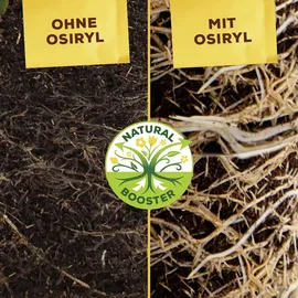 Solabiol Gartendünger Universal mit Wurzelstimulator 5 kg