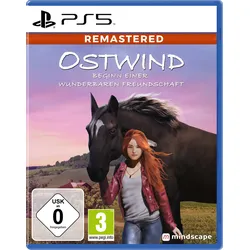 Ostwind - Beginn einer wunderbaren Freundschaft Remastered (Ostwind: Das Spiel)