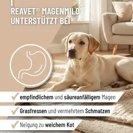 reavet Magenmild Pulver 500 g