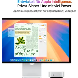 Apple Mac Mini "Mac Mini M4 Pro", silber, Mac OS, 64 GB RAM 2000 GB SSD, Computer