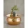 KADIMA DESIGN Gold Aluminium 60 x 30,5 x 60 cm
