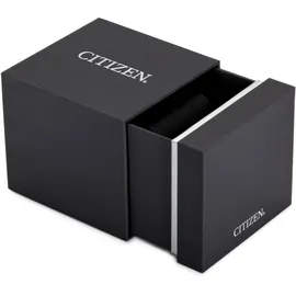 Citizen Basic BF2011-01EE