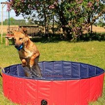 LIONTO Hundepool faltbar aus kratzfestem PVC-Material, Ø 120 cm, Höhe 30 cm, Anti-Rutsch-Belag & Abflussstopfen für schnelle Entleerung, Keine Pumpe benötigt, robuster Kinderpool, blau/rot